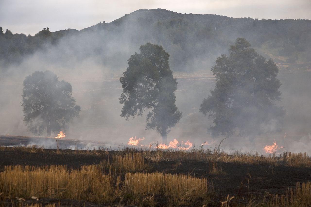 Ogień silniejszy przez zmianę klimatu. Naukowcy nie mają wątpliwości