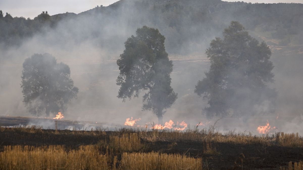 A fire burning in a field
Tobias Titz
agriculture, burning, bush, chile, color, danger, day, destruction, emergencies and disasters, environmental issues, field, fire, flame, grass, heat, hill, landscape, natural disaster, nature, no people, non-urban scene, outdoors, patagonia, photography, risk, sky, smoke, tree, horizontal