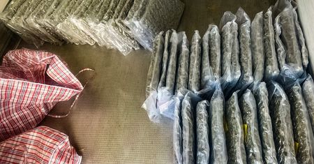 CBŚP rozbija narkotykową siatkę powiązaną z pseudokibicami – zabezpieczono 168 kg narkotyków.