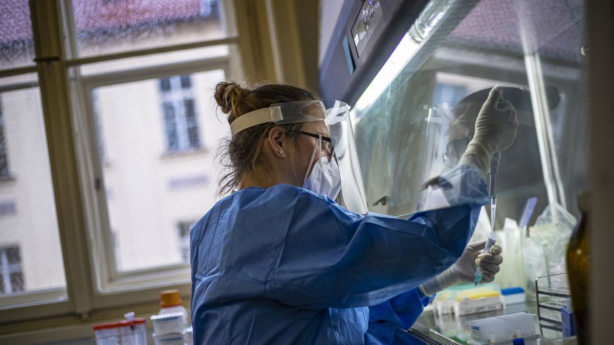 Mabion chce współpracować przy produkcji potencjalnego leku na COVID-19.