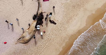 Wyciek ropy w Izraelu. Zamknięto plaże. "Największa katastrofa ekologiczna kraju"