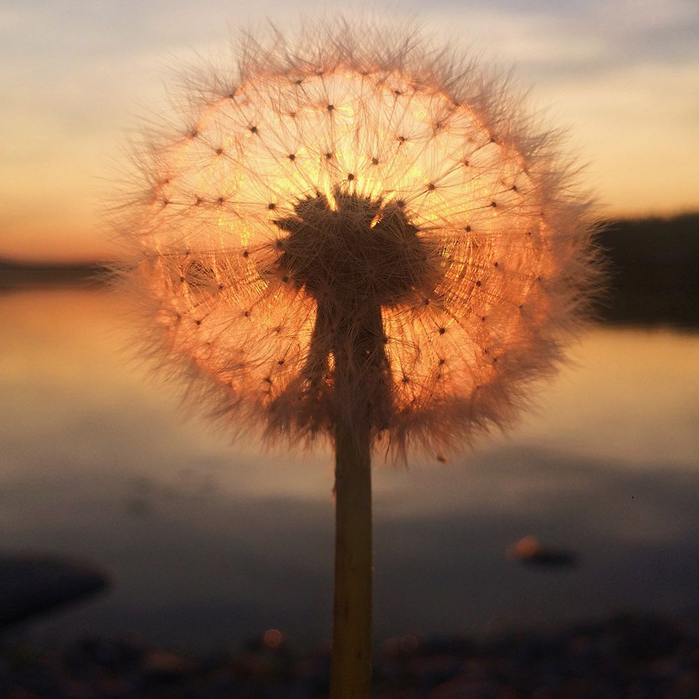 Dwóch Polaków nagrodzonych w iPhone Photography Awards 2018 20