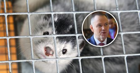 Jest ustawa i podpis, będą konsekwencje. Jak duży biznes znika?
