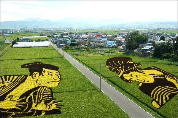 Fantastyczne obrazy stworzone… z ryżu
