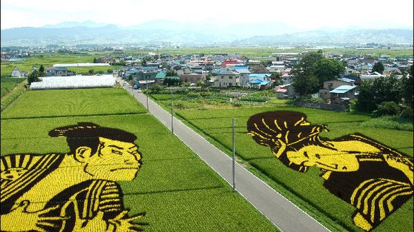 Fantastyczne obrazy stworzone… z ryżu 1