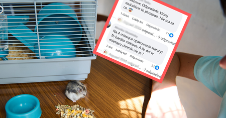 "Idealne zwierzę dla dziecka do małego mieszkania". Reklama sklepu wywołała oburzenie