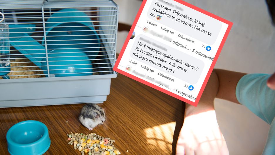 Zwierzę do małego mieszkania. Internauci oburzeni