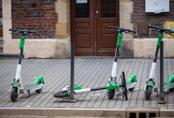 Praca sezonowa w wakacje. Już nie tylko zbieranie owoców