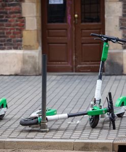 Praca sezonowa w wakacje. Już nie tylko zbieranie owoców