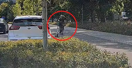 Rowerzysta przyłapany. Taki wybryk w Warszawie