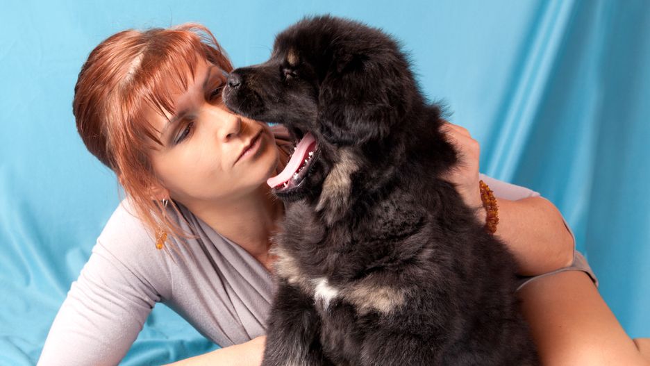 Szczenię jest wyraźnie zestresowane sesją zdjęciową i bliską obecnością modelki