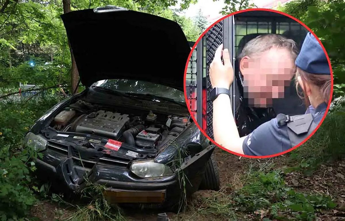 pijany kierowca, Alfa Romeo, policja Alfa romeo wjechała w las. Pijanego kierowcę zatrzymali ludzie