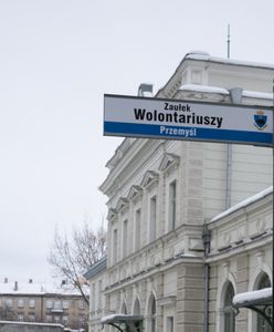 Zaułek Wolontariuszy