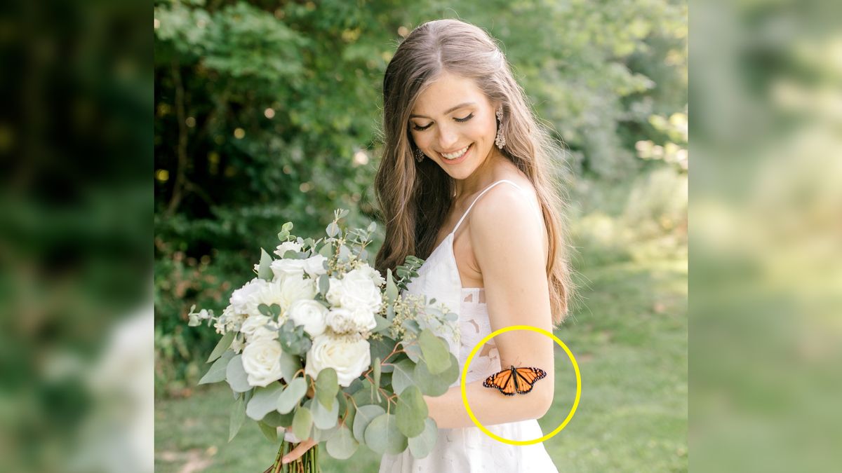 Na sesji ślubnej pojawił się motyl. Panna młoda wierzy, że to duch jej babci 1