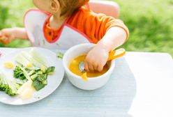 Czym jest schemat żywienia niemowląt i co warto wiedzieć, planując rozszerzanie diety niemowlaka?