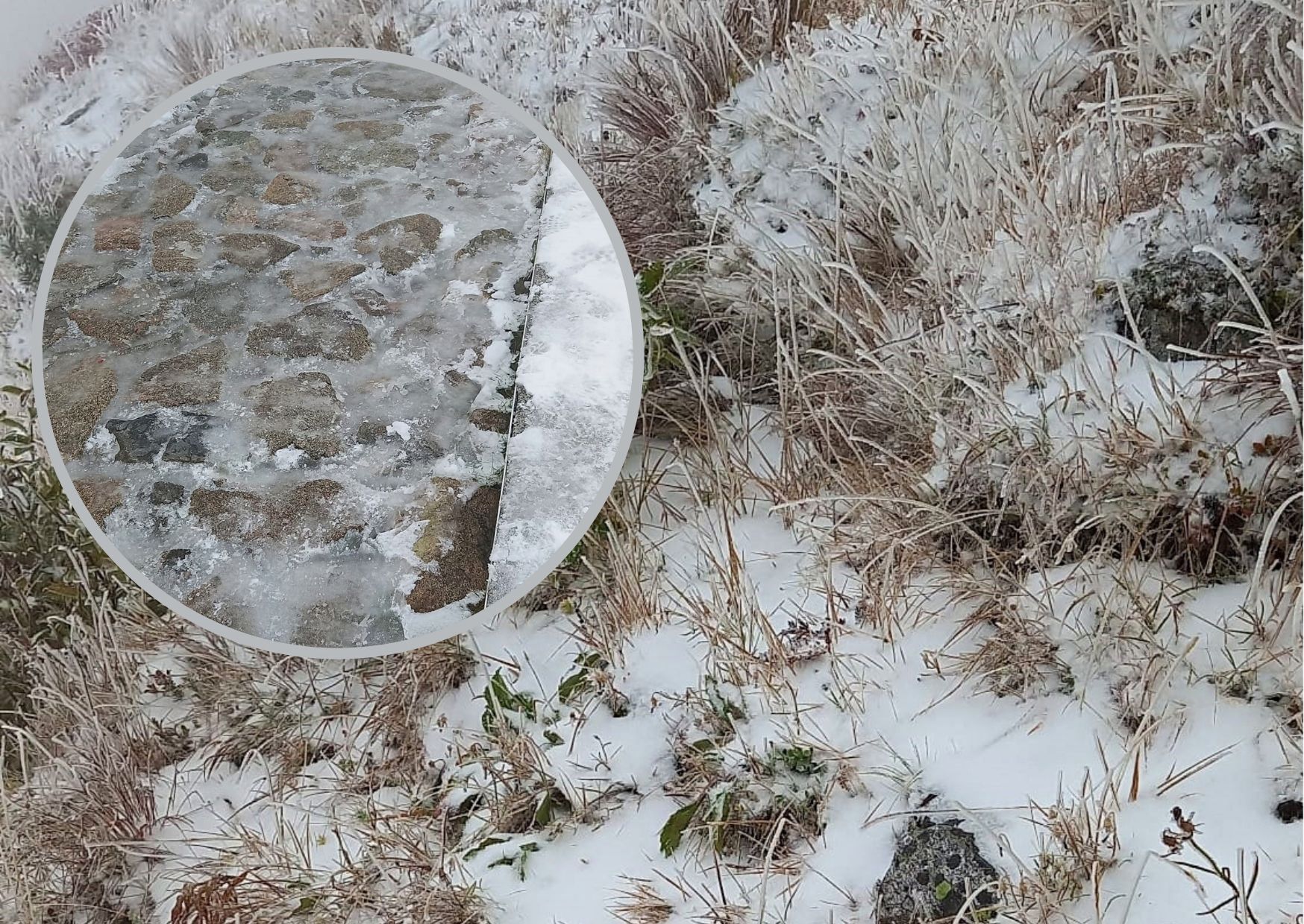 W Tatrach już się zaczęło. Śnieg przykrył roślinność
