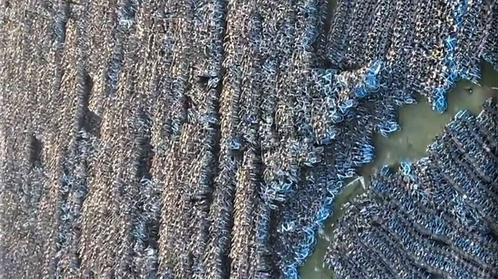 Chińskie cmentarzysko