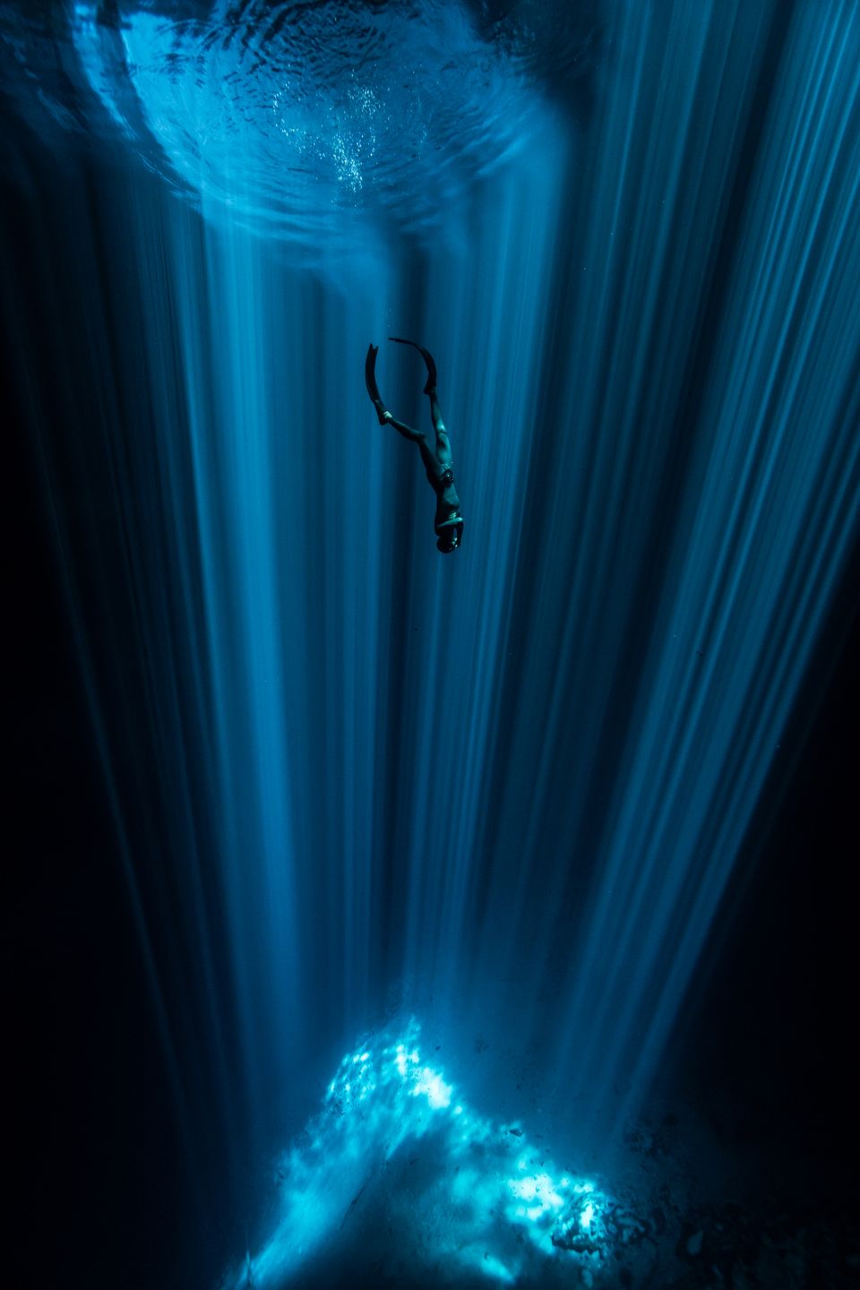 Underwater Photographer of the Year 2018 - niesamowity podwodny świat na wyciągnięcie ręki 8