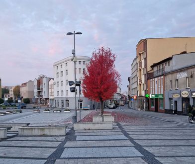 Wybory samorządowe 2024 Rybnik. Lista kandydatów na prezydenta miasta