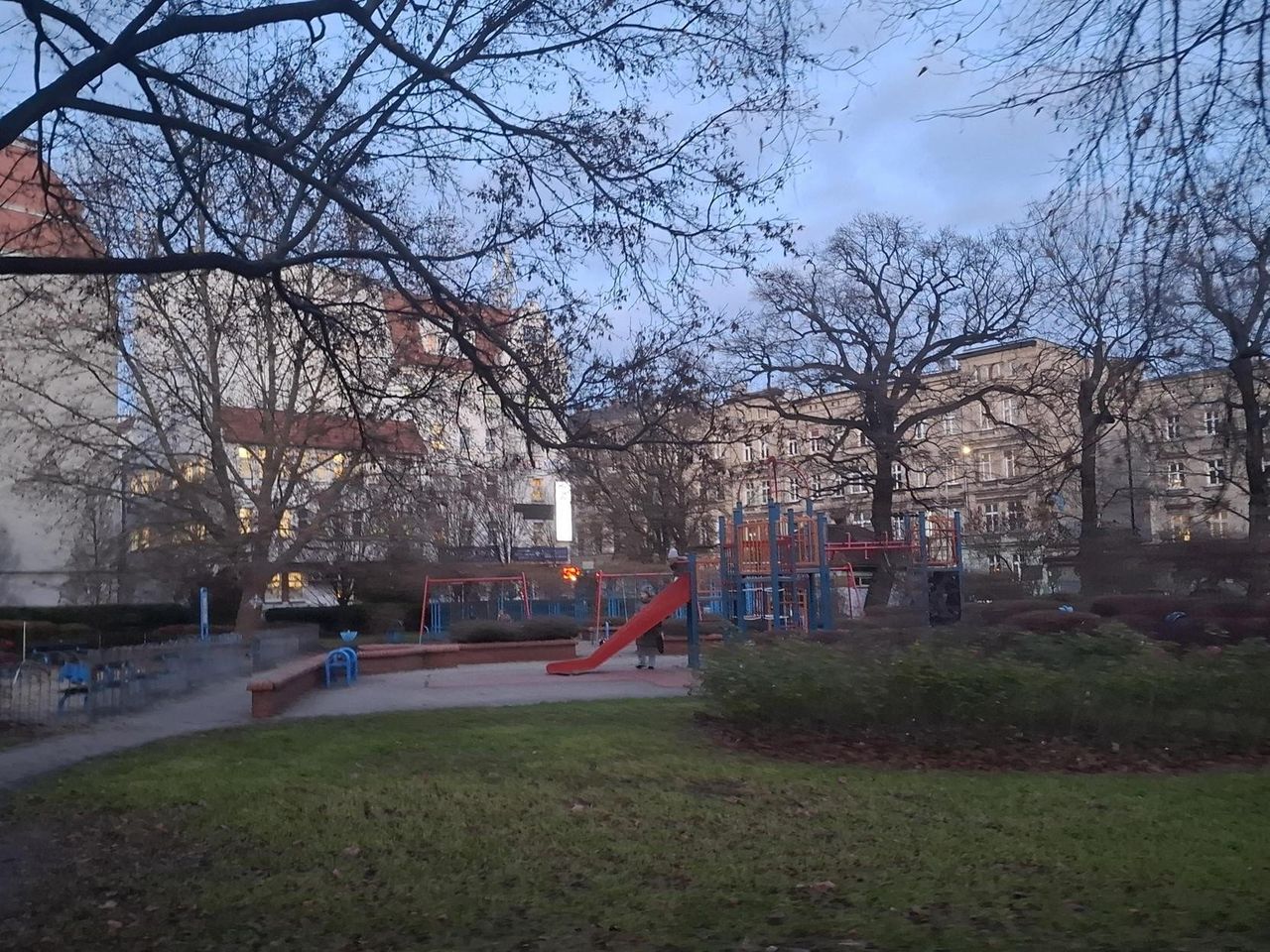 Wrocław: Po ulicy Szczurów czas na park Szczurów? Internauci szydzą