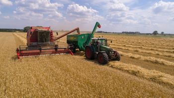 W żniwa koszą na wsiach najwięcej pieniędzy. Jak zostać kombajnistą?