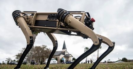 Robo-psy zaczynają służbę wojskową
