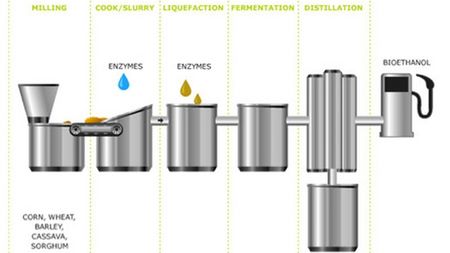 Duńczycy odkryli enzymy rozkładające celulozę w etanol 1