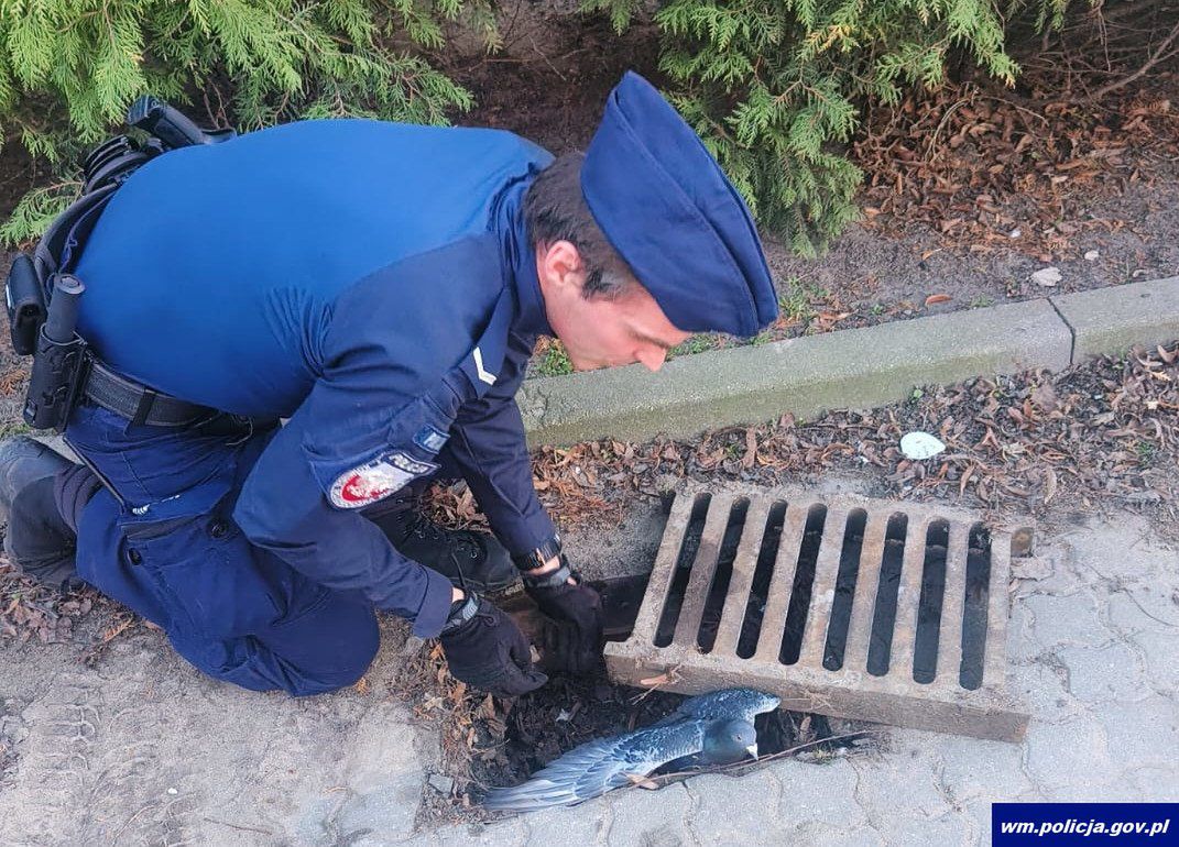 Policja Warmińsko-Mazurska