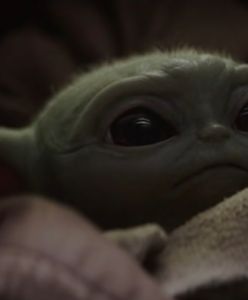 "The Mandalorian". Baby Yoda podbija serca internautów na całym świecie