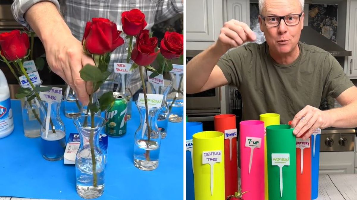 TikToker sprawdził wiralowe triki z kwiatami w wazonie.