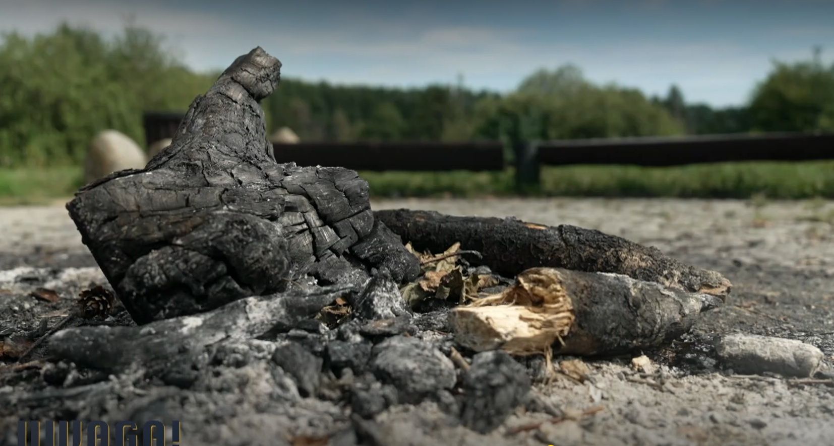 Sprawa Iwony Wieczorek. Wraca wątek ogniska w Parku Reagana