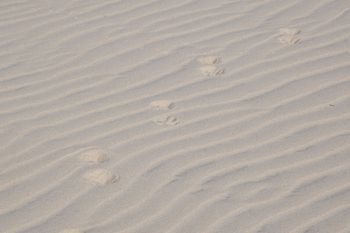 Śpiewające wydmy na pustyni Mojave. To zjawisko występuje wszędzie