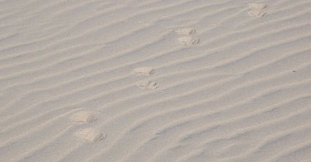 Śpiewające wydmy na pustyni Mojave. To zjawisko występuje wszędzie