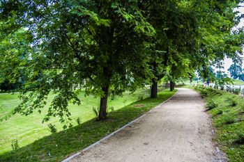 Poznań: Nowy plan zagospodarowania. Będzie park nad Wierzbakiem