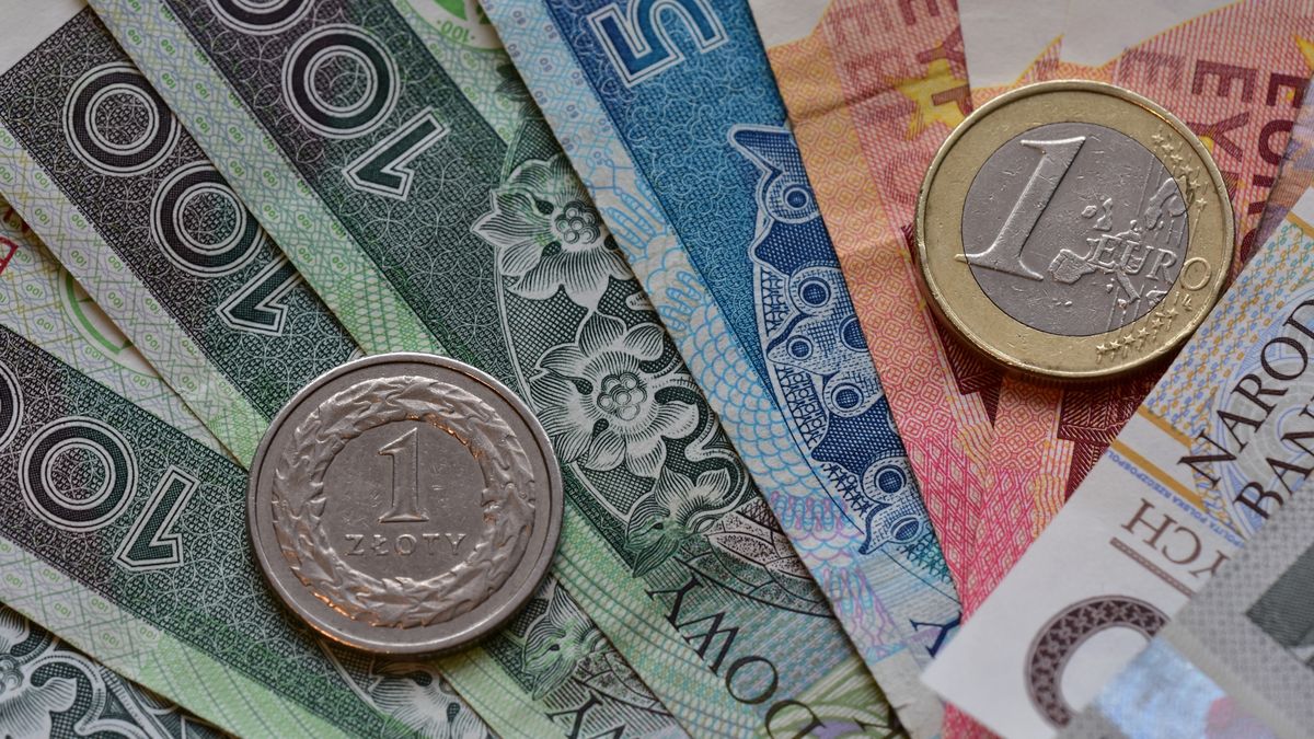 Czy Polska powinna przyjąć euro?
