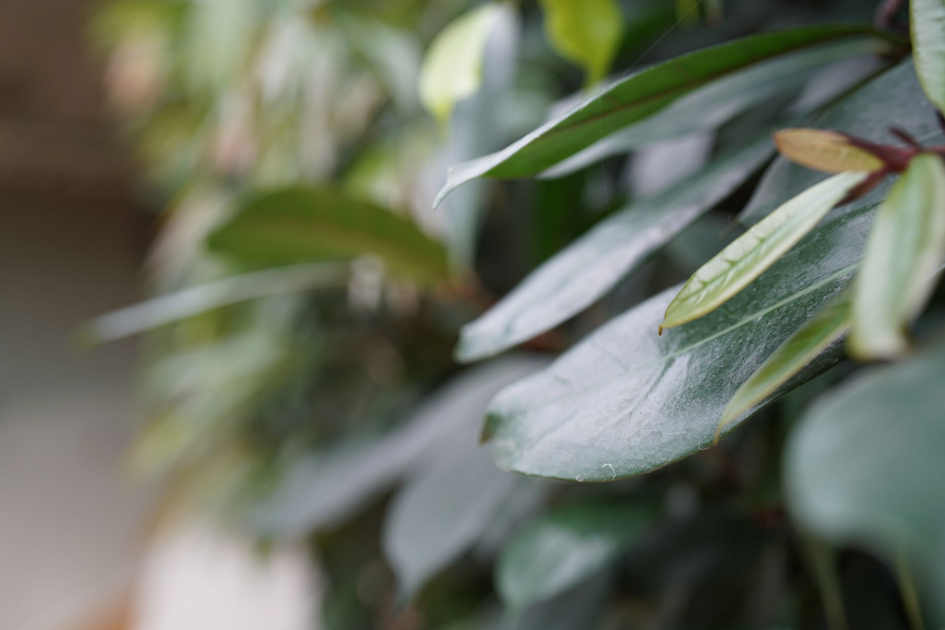 Zeiss Planar T* FE 50 mm f/1.4 ZA - nasze przykładowe zdjęcia 14