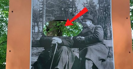 Leśnicy dali czas do końca tygodnia. "Z przykrością informujemy"
