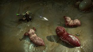 Diablo 4 przypomniało o istnieniu StarCrafta, ale nowy crossover nie uradował graczy