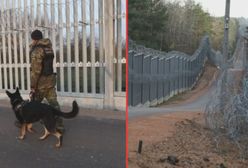 Budują nowe zapory przeciw migrantom. Dzieje się na granicy z Białorusią