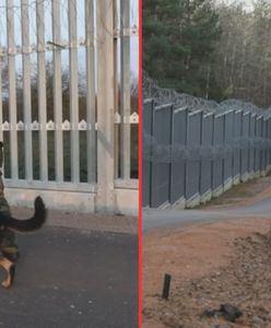 Budują nowe zapory przeciw migrantom. Dzieje się na granicy z Białorusią