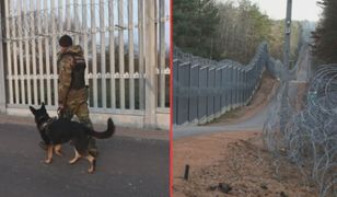 Budują nowe zapory przeciw migrantom. Dzieje się na granicy z Białorusią