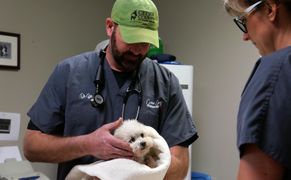 National Geographic Wild HD Weterynarze z Nebraski