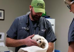 National Geographic Wild HD Weterynarze z Nebraski