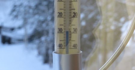 "Meldujemy -29 st. C". Leśnicy pokazali dowód