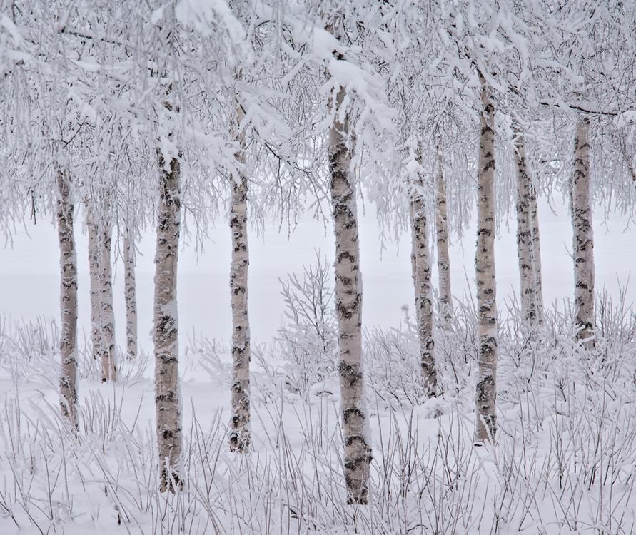 Spektakularne krajobrazy na zdjęciach laureatów konkursu 2015 International Landscape Photographer of the Year 15