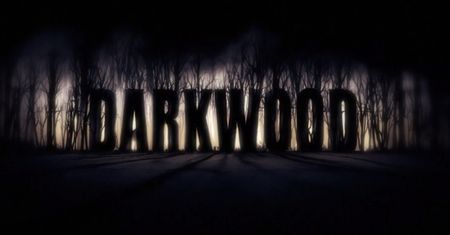 Darkwood: ciemny las, opuszczony dom, burza z piorunami... Od zwiastuna tej gry będziecie mieć ciary