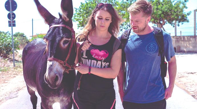 Travel with a Goat