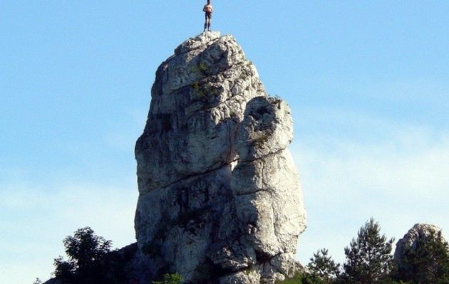 Obraz