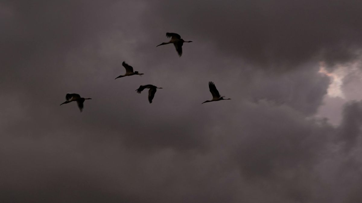  Prognoza pogody na koniec lipca