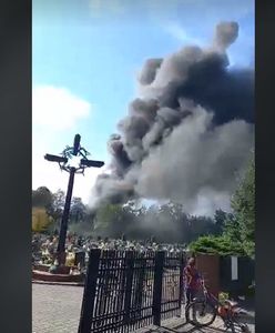 Bytom. Groźny pożar. Spłonęły ciężarówki